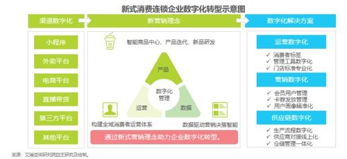 新消費連鎖品牌如何盈在未來——安盾網艾勇于2021中國數字創新年會分享